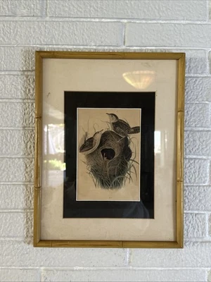 FRAMED ANTIQUE JOHN Audubon SHORT BILLED MARSH WREN Birds of America - Image 1 of 4