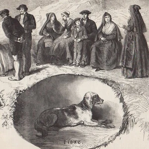 Picou Hund vom Kaiser in Biarritz gekauft - - Pressestich 1859 - Bild 1 von 2