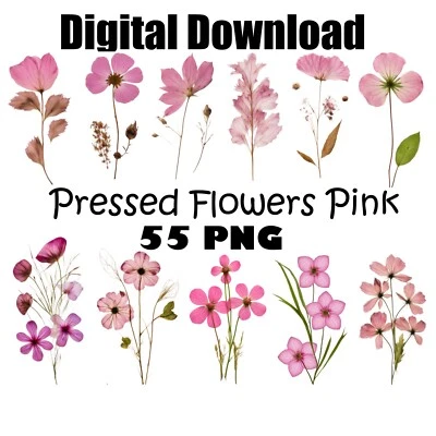 Pink Dried Pressed Flowers Clipart Digital Download for Printing DIY Decoration - Image 1 of 4