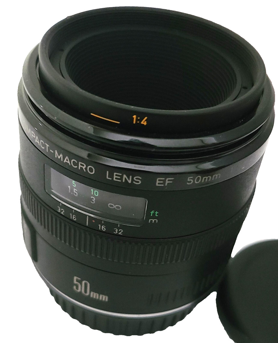 Canon COMPACT-MACRO EF 50mm F2.5◆5365 Canon EF 50mm f/2.5 Macro Lens Review