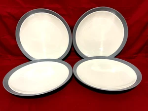 Noritake 5107 Stoneware Colorwave Slate Set Of 4 Dinner Plates 11" - Picture 1 of 2