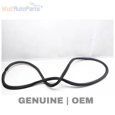 2017-2024 AUDI A4 QUATTRO - Front DOOR SEAL / Weather Stripping (Inner) - Image 1 of 4