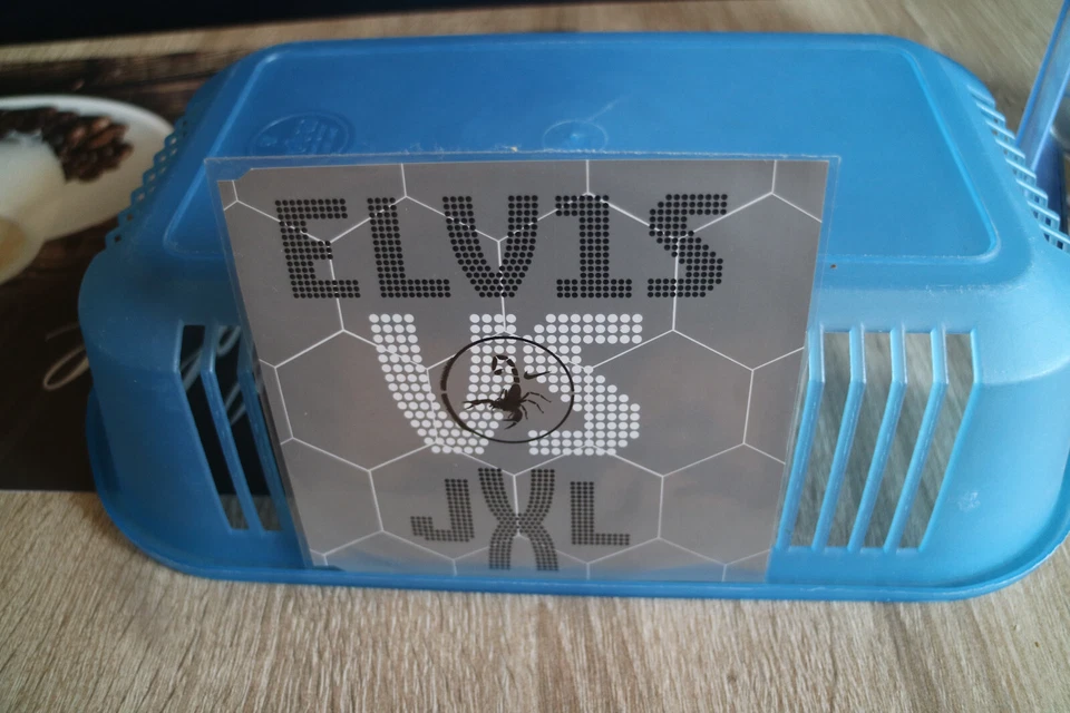 Elvis Presley - Elvis VS JXL (2002) - 3 Track Maxi CD - Bild 1 von 1