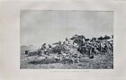 1914 Ww1 German Army Print A Battery Of Light Field Howitzers In Position