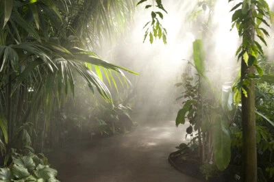 7x5ft Sunshine Tropical Jungle Forest Palm Trees Vinyl Backdrop Photo Background - Image 1 of 4