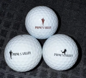 3 Varying Payne’s Valley ProV Logo Golf Balls, Branson MO Big Cedar Lodge Paynes - Picture 1 of 5