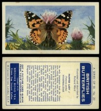 Painted Lady #20 British Butterflies 1963 Brooke Bond Tea Card