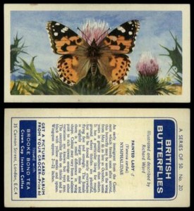 Painted Lady #20 British Butterflies 1963 Brooke Bond Tea Card
