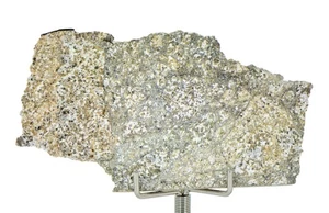 19.74g Eucrite Unbrecciated slice I HED Achondrite I NWA 12932 TOP METEORITE - Picture 1 of 4