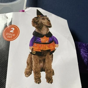 Way To Celebrate Halloween Witch Pet Costume Size XS New - Picture 1 of 3