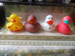 💥 Rubber Duck Assorted 4 Rare ducks!  Duckys quackery bath toy BIN A - Picture 1 of 6