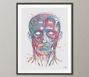 Músculos faciales humanos estampado en acuarela anatomía humana arte médico ciencia arte facial - Imagen 1 de 2