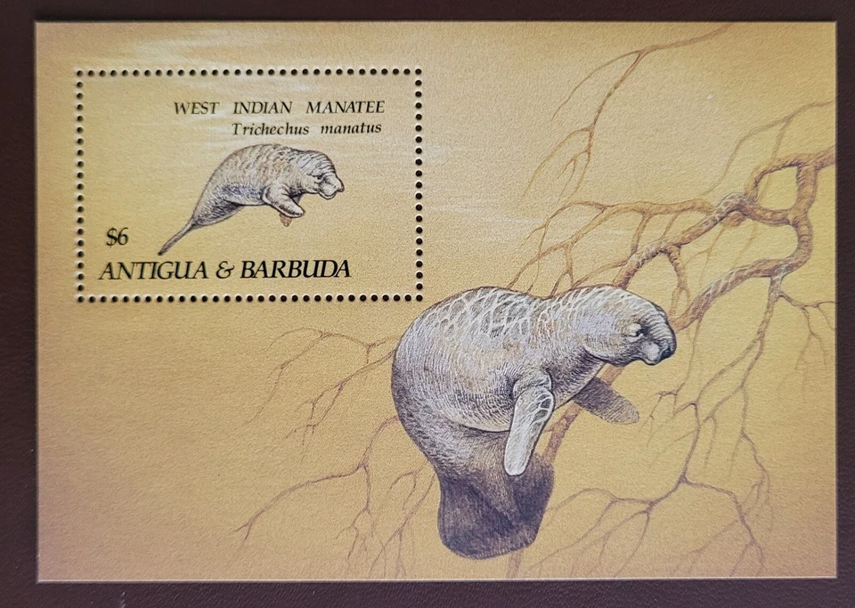 Antigua&Barbuda 1993 / Endangered Species - West Indian Manatee  / 1v ms - Image 1 of 1