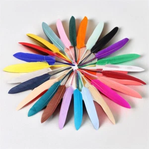 ¡Al por mayor! 50 piezas hágalo usted mismo pluma de ganso natural 4-6 pulgadas / 10-15 cm cabeza de carnaval - Imagen 1 de 52