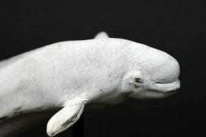 Bronzefigur 'BELUGA WHALE - WEIßWAL' by "RUCHOS" - Limited Edition - Bild 1 von 12