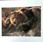 Carl Brenders "CLOSE to MOM", Grizzly Bear & Bear Cubs,Wildlife Art Print-9.5x10