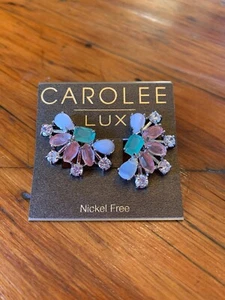 NEU MIT ETIKETT CAROLEE lUX silberfarbene Stein 1" CLIP-ON-OHRRINGE Muster G12 - Bild 1 von 7