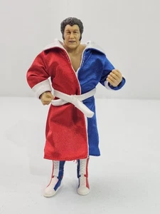 WWF WWE HARLEY RACE JAKKS CLASSIC SUPERSTARS SERIES 10 WRESTLING ACTION FIGURE - Picture 1 of 9