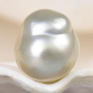 Perla dei Mari del Sud Champagne Barocco 12,46 mm Maluku Indonesia 1,98 g non forata - Foto 1 di 13