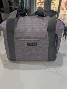 Titan by Arctic Zone Insulated CarryALL Bag Tote New Gray - Picture 1 of 11