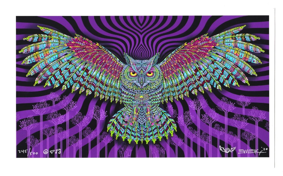 EMEK Electric Owl 6x10 Mini Art Print Poster Signed #/500 Electric Forest - Image 1 of 1