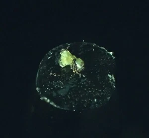 RARO THOMASCLARKEITE-(Y) Cristalli Campione Minerale Fine Mont Saint Hilaire QC CA - Foto 1 di 5