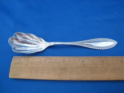 Bonita CUCHARA DE AZÚCAR Whiting Sterling INDIA (1874) Patrón - Cuenco con Cáscara - Sin Mono Foto 1 de 4