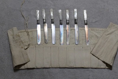 Seis cuchillos antiguos Towle Mfg Co para frutas cubiertos mango de perlas y puños de ley Foto 1 de 4