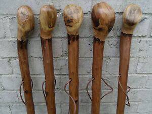 Chestnut Wood Walking Stick Cane Root Ball Knob Rustic Thick Walking Cane 46"✅  