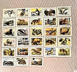 Rusia WW ANIMALES, PÁJARO, SERPIENTE CAJA DE FÓSFOROS JUEGO DE 28 PIEZAS - Imagen 1 de 2