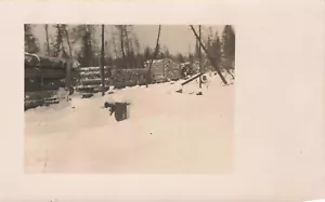 Foto postal de día nevado - Imagen 1 de 2