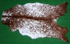 Nueva alfombra de piel de cabra alfombra de pelo en área talla 36"x24" cuero animal piel de cabra G-448 - Imagen 1 de 3