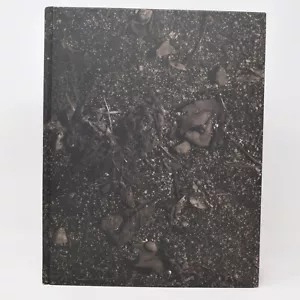 Seeing Is Believing Vik Muniz Hardcover No Dust Jacket 1st Edition 1998 Stainbac - Imagen 1 de 18