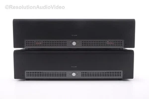 Schiit TYR - Audiophile Stereo Class AB Monoblock Power Amplifier Pair w Boxes - Imagen 1 de 17