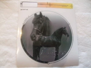 1 autocollant - motif Cheval FRISON - Imagen 1 de 1
