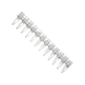 BRAND® 0.2 mL 12-Tube PCR Strip Clear PP (Pack of 10) - LABORATORY LAB - Picture 1 of 1