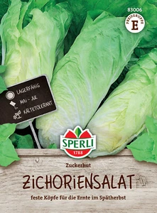 Zichoriensalat 'Zuckerhut' - Cichorium intybus, Blattzichorie Salat, Samen 83006 - Bild 1 von 2