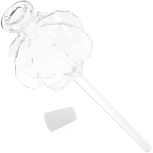 Practical Bonsai Plant Watering Globe Clear Glass Watering Device Cute Cactus - Picture 1 of 12