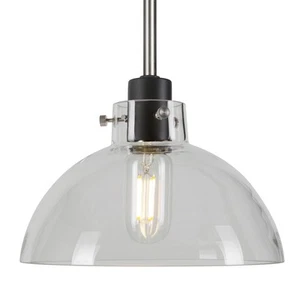 Forte Lighting 2734-01 Della 9"W Mini Pendant - Black and Brushed Nickel - Picture 1 of 3