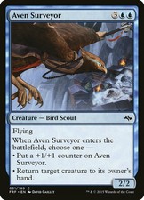 FOIL Aven Surveyor | MtG Magic Fate Reforged | English | Near Mint