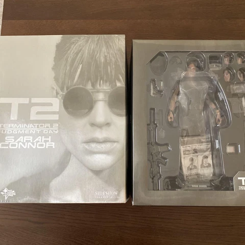 Hot Toys MMS119 Sarah Connor Terminator 2 Judgement Day 1/6 Scale Figure Cover