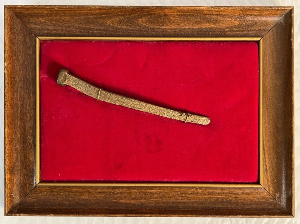 Artefacto de naufragio de barco galeón español flota 1715 espiga como Mel Fisher Atocha Foto 1 de 4