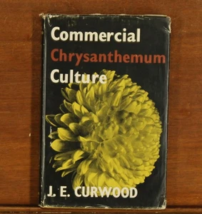 J.E. Curwood: Commercial Chrysanthemum Culture growing flower from scratch DIY - Bild 1 von 7