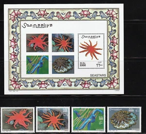 Somalia 2001 Seesterne, postfrisch kompletter Satz + Block - Bild 1 von 1