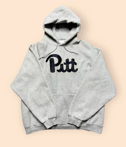 Vintage Pitt Panthers Y2K Hoodie Sweatshirt Gray Men’s XL Heavyweight Vtg 2000s Cover