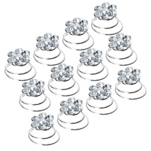 12PCS Spiral Hair Hair Clips Bun Stick Pick for DIY Hair Style (Silver) - Picture 1 of 9