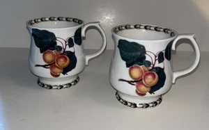 Pair of Vintage Queen's Fine Bone China Hookers Fruit Coffee Footed Tea Cups - Picture 1 of 2