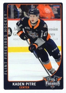 2022/23 Flint Firebirds - KADEN PITRE - Picture 1 of 2