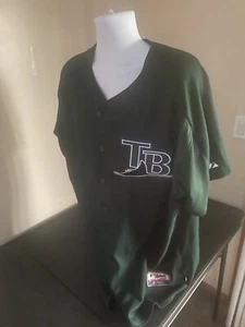 Tampa Bay Rays James #40 Jersey - Picture 1 of 3
