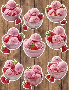 Strawberry Ice Cream Die Cut Vinyl Stickers Set Scrapbooking Laptop Waterbottle - Picture 1 of 1